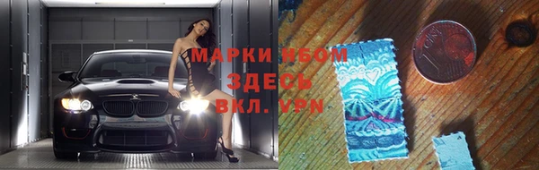 сатива Краснослободск