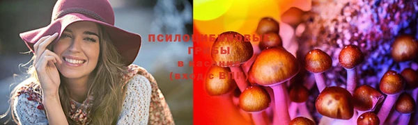 тгк Красноперекопск