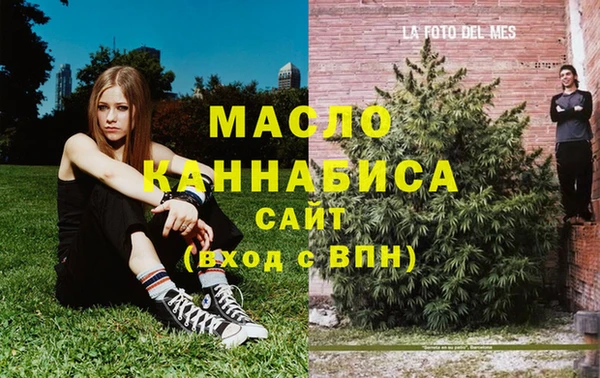сатива Краснослободск