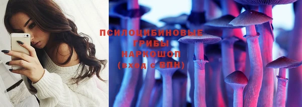 сатива Краснослободск
