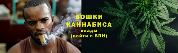 сатива Краснослободск