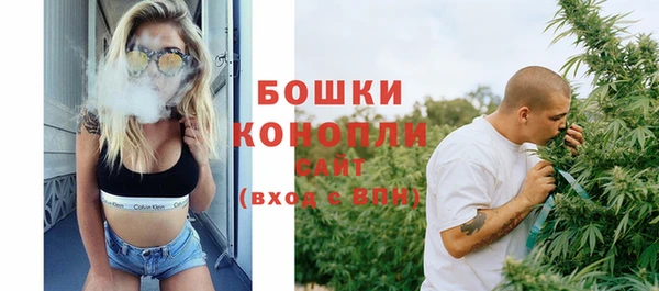 сатива Краснослободск